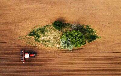 Video Drone azienda agricola