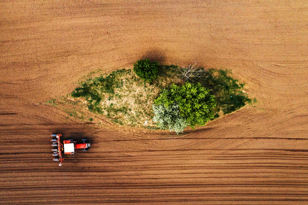 Fotografia per aziende con drone